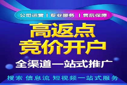 旅游行业SEM推广的成功案例分享